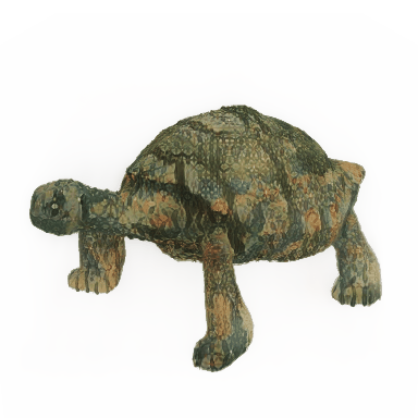 sea_turtle