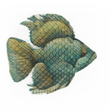 fish.gif